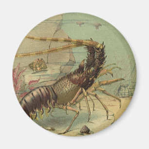 Shrimp, Underwater Sea Life, Vintage Ocean Animals Magnet