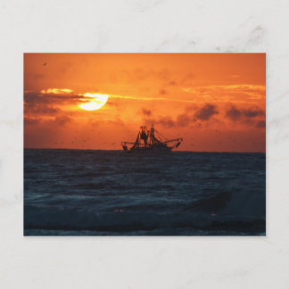 Shrimper Postcard