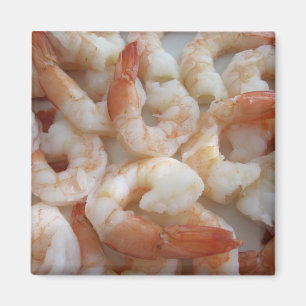Shrimpy Magnet