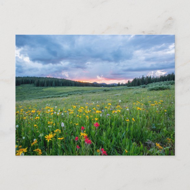Shrine Pass Road, Red Cliff, United States Postcard (Front)