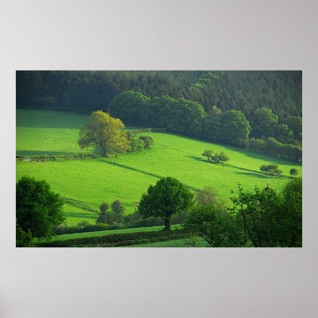 Shropshire Hills Poster (Front)