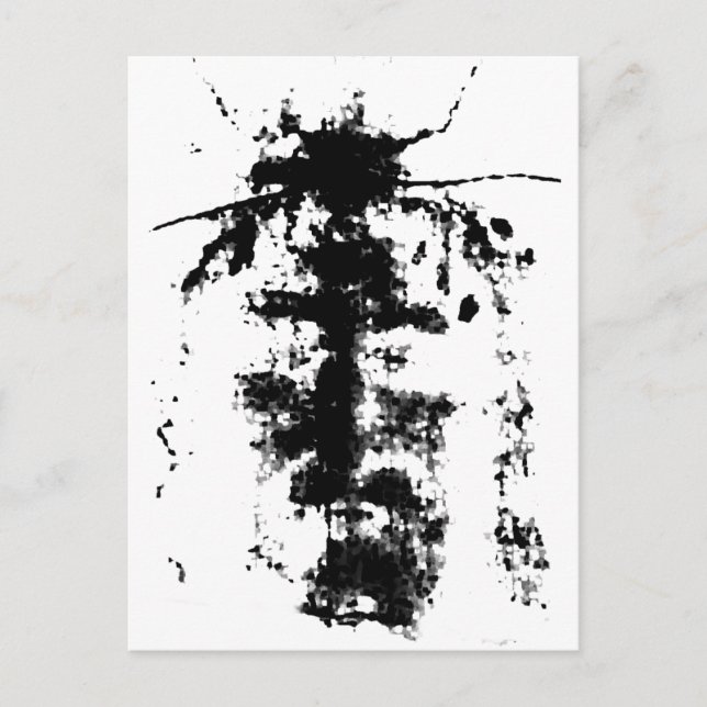 Shroud of Turin Postcard (Front)