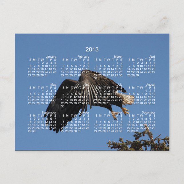 Shrouded by Wings; 2013 Calendar Holiday Postcard (Front)