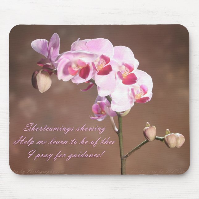 Shrtcomings Showing Mouse Mat (Front)