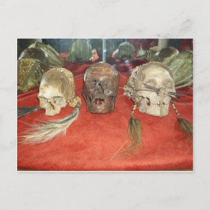 Shrunken Heads Voodoo Display Postcard