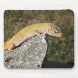 SHTCT Leopard Gecko Mouse Mat