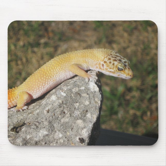 SHTCT Leopard Gecko Mouse Mat (Front)