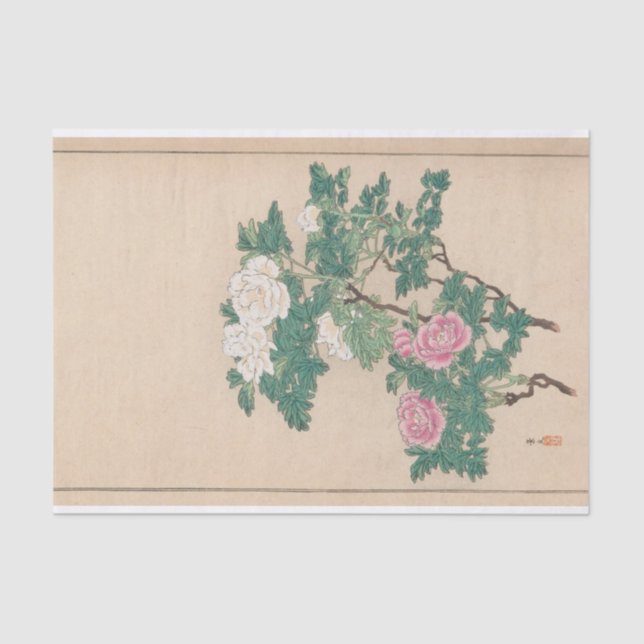 Shūbi Gakan, Pl.20 by Nanbara Sakujirō Tissue Paper (Front)