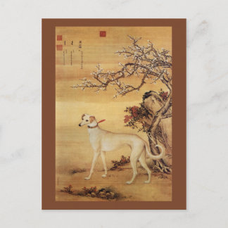 Shuanghuayao~霜花鹞 ~ Greyhound ~Giuseppe Castiglione Postcard