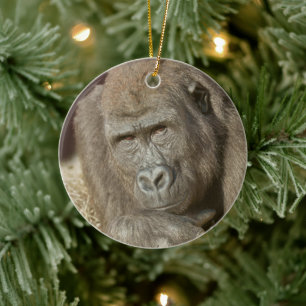 Shufai the Gorilla Locking Eyes with You Ceramic Tree Decoration