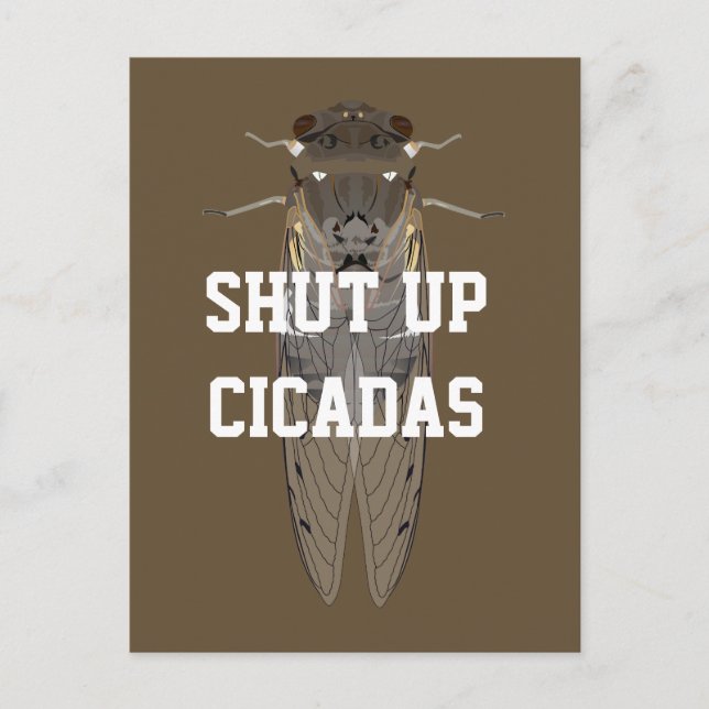 Shut Up Cicadas Postcard (Front)