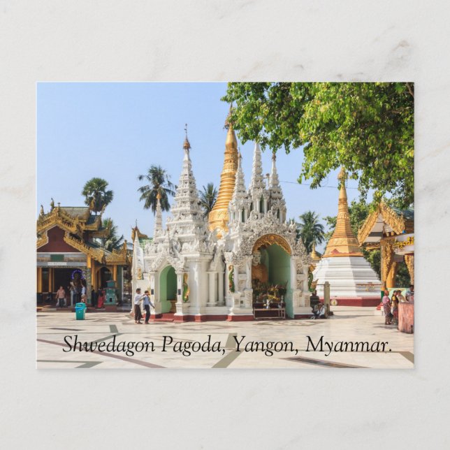 Shwedagon Pagoda, Yangon, Myanmar. Postcard (Front)