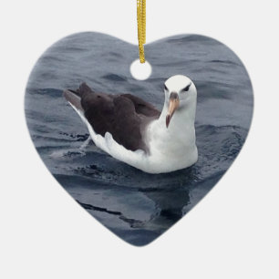 Shy Albatross Ceramic Tree Decoration