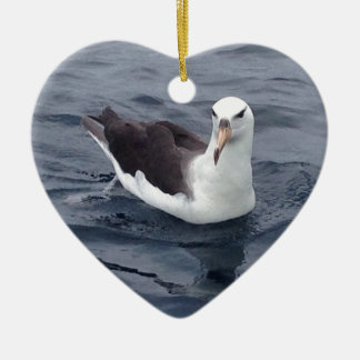 Shy Albatross Ceramic Tree Decoration