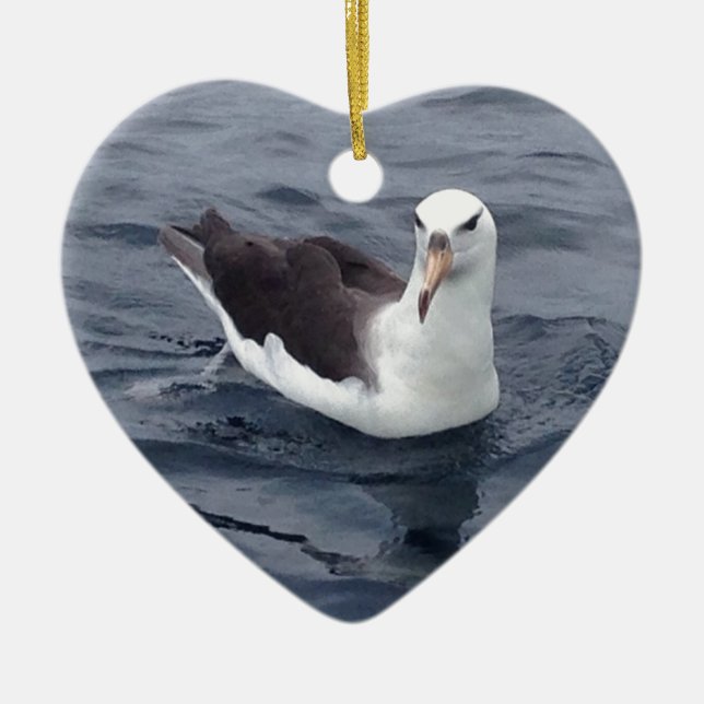 Shy Albatross Ceramic Tree Decoration (Front)