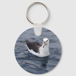 Shy Albatross Key Ring