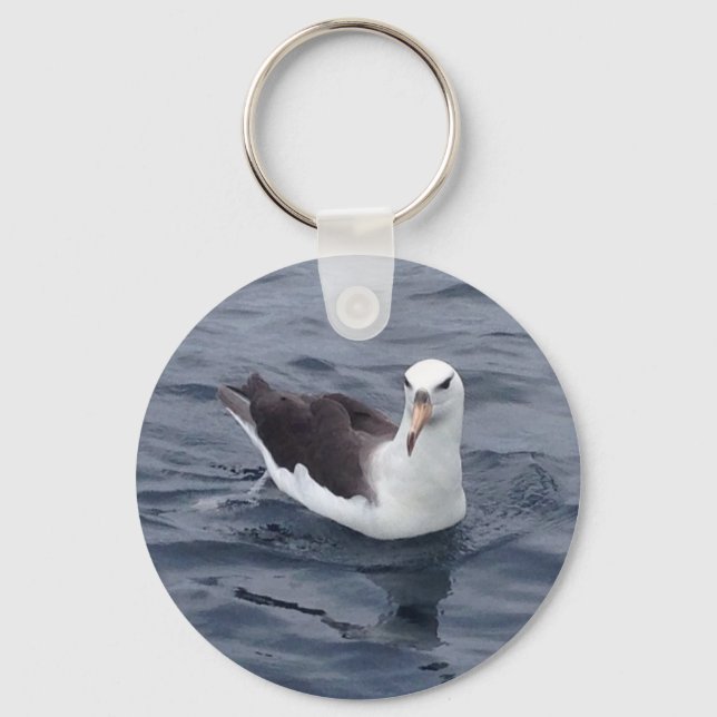 Shy Albatross Key Ring (Front)