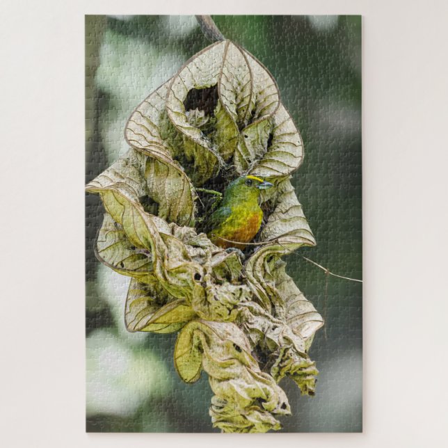Shy Bird, Olive Euphonia Jigsaw Puzzle (Vertical)