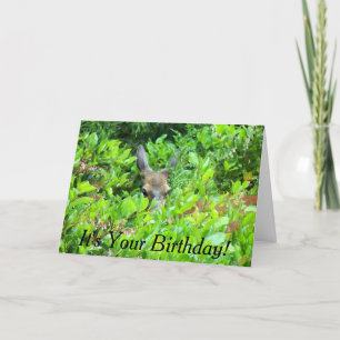 Shy Deer Wildlife Birthday Card