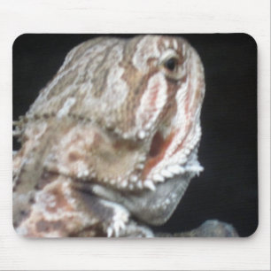 Shy Dragon Mouse Mat