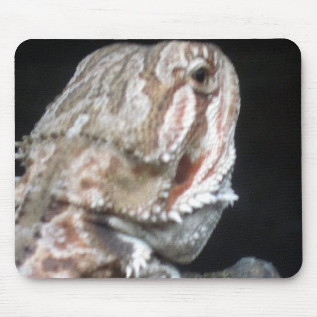 Shy Dragon Mouse Mat (Front)