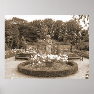 Shy Girl in the Roses Poster