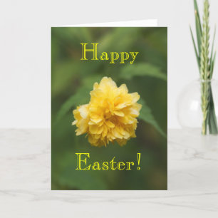 Shy, Happy Easter! Holiday Card