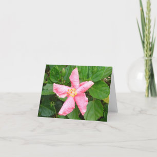 Shy Hibiscus Card