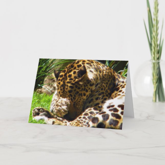 Shy Leopard Holiday Card (Front)