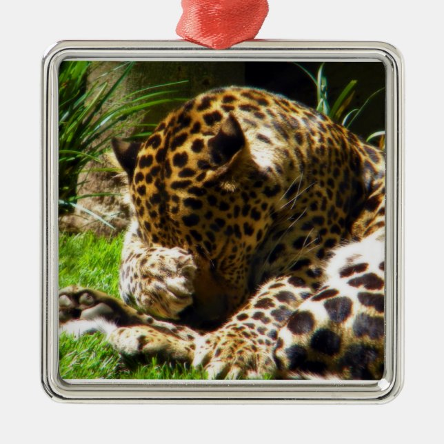 Shy Leopard Metal Tree Decoration (Front)