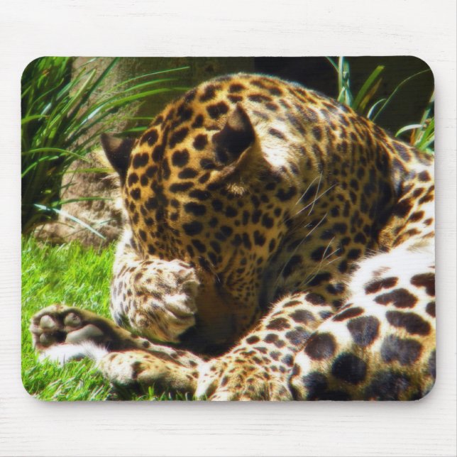 Shy Leopard Mouse Mat (Front)