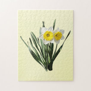 Shy Little Daffodil Jigsaw Puzzle