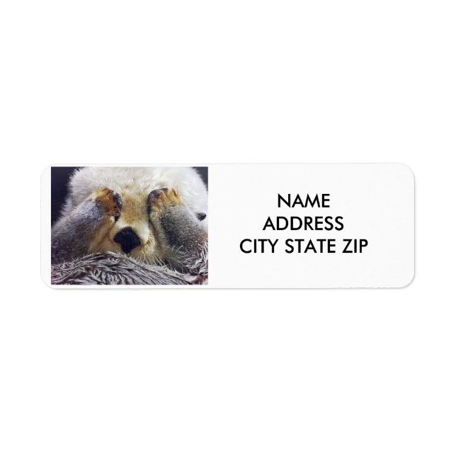 "SHY OTTER" ADDRESS LABEL (Front)