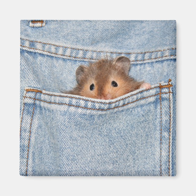 shy peekaboo magnet (Front)