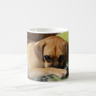 Shy puggle mug