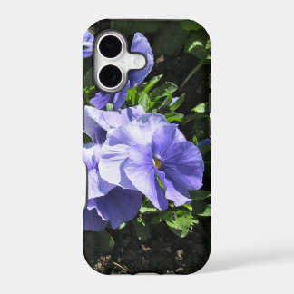Shy Purple Pansies