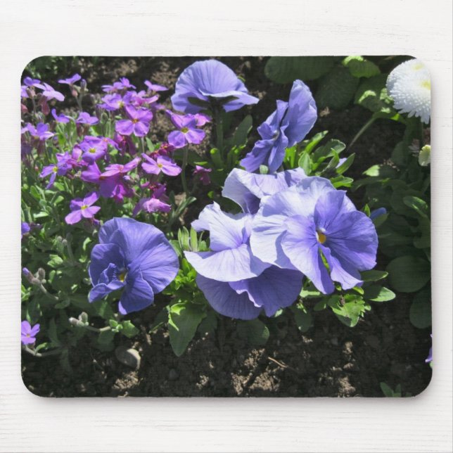 Shy Purple Pansies Mouse Mat (Front)