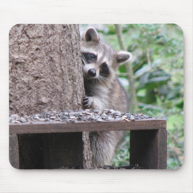 Shy Racoon Mousepad (Front)