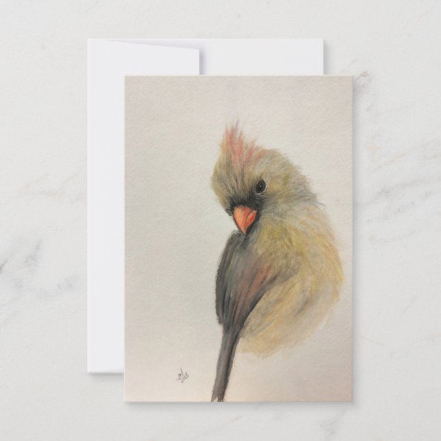Shy Red Bird Note card (Front)