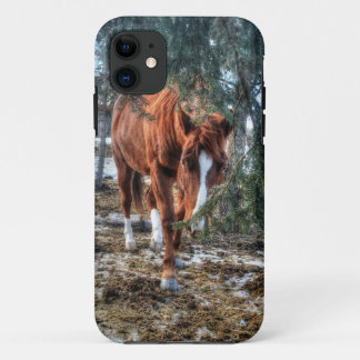 Shy Sorrel Mare and Branches Horse-lover Gift iPhone 11 Case