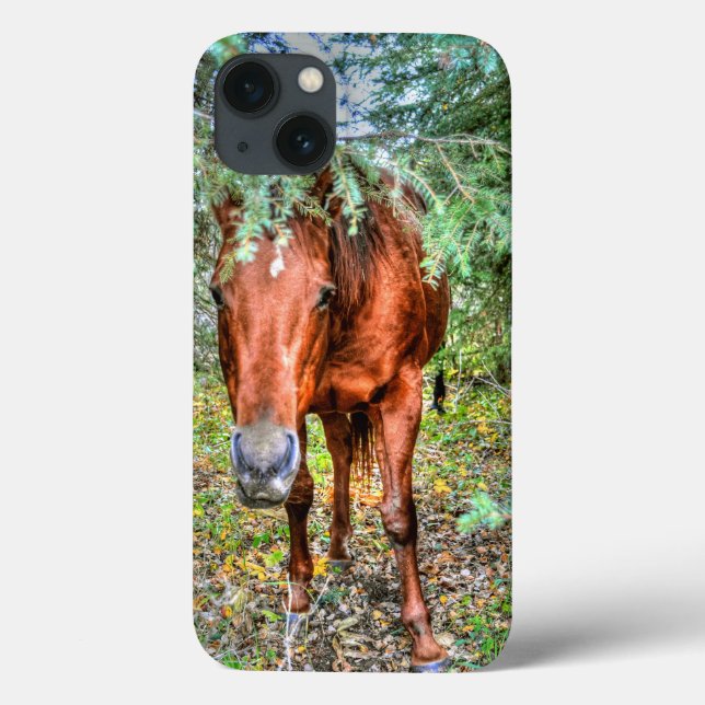 Shy Sorrel Mare & Trees Horse-lover's Equine Photo Case-Mate iPhone Case (Back)