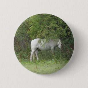 Shy White Horse Button