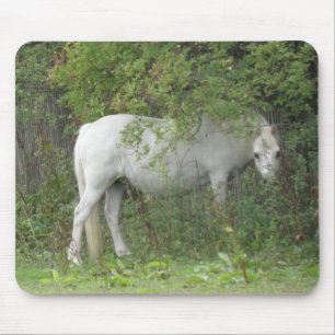 Shy White Horse Mousepad