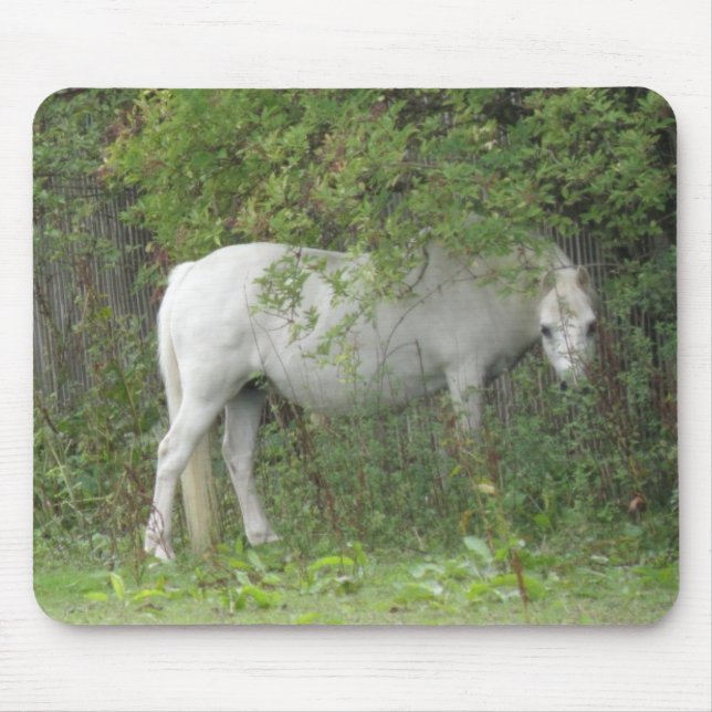 Shy White Horse Mousepad (Front)