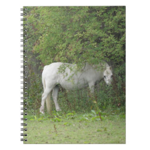 Shy White Horse Notebook