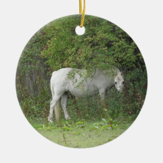 Shy White Horse Ornament (Front)