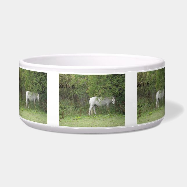 Shy White Horse Pet Bowl (Front)