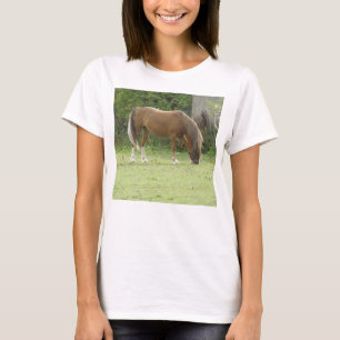 Shy White Horse T Shirt