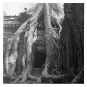 Siam Reap, Cambodia. Just outside of Siam Reap, Tile