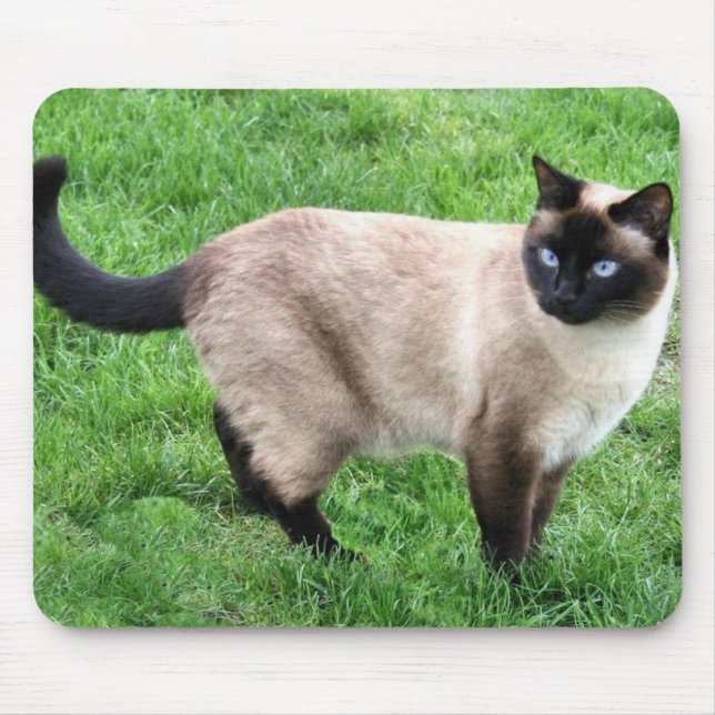 SIAMESE BEAUTY MOUSE MAT (Front)